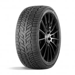 Doublestar Winterking DW08 175/65R15 84T